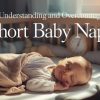 Baby Cat Napping Explained: When to Worry & When It’s Normal