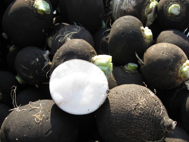 O-15_Oroblanco_a_type_of_root_vegetable