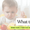 my 2 year old won't eat only drinks milk