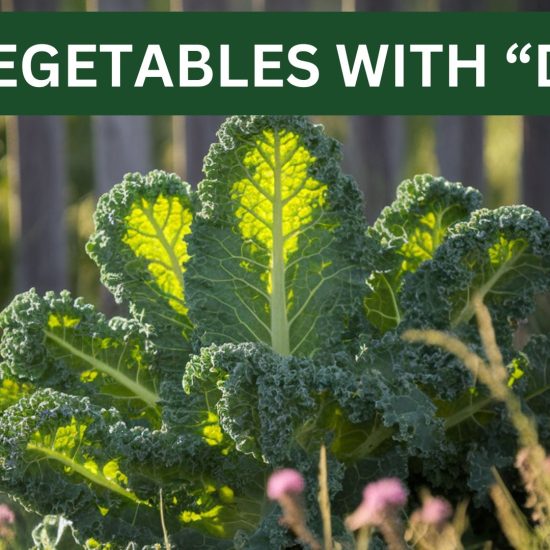 vegetables with d