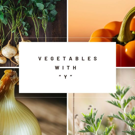 9 Vegetables That Start with Letter "Y"