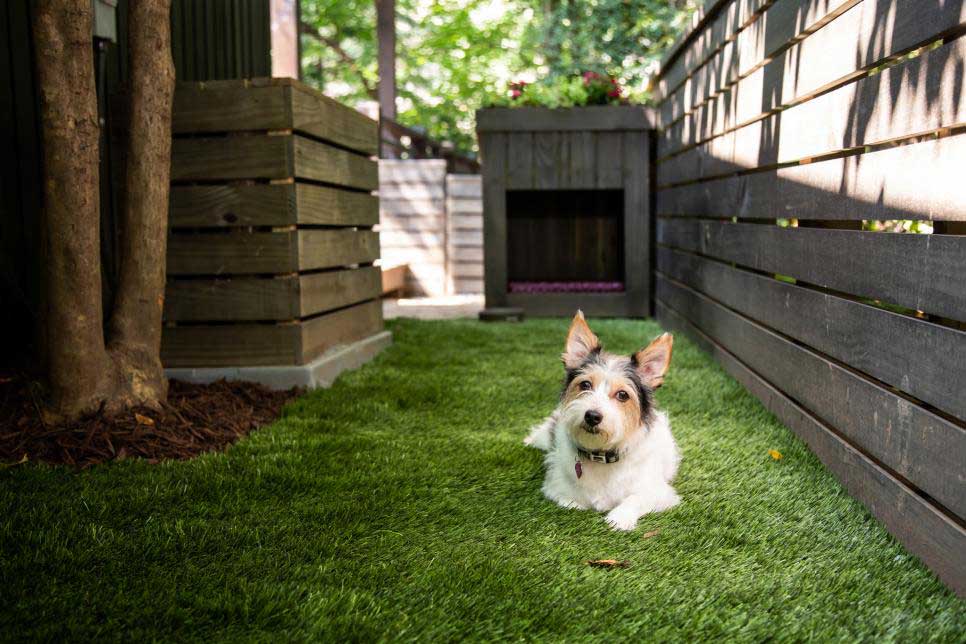 Install a Dog Kennel and A Dig-Friendly Sandbox