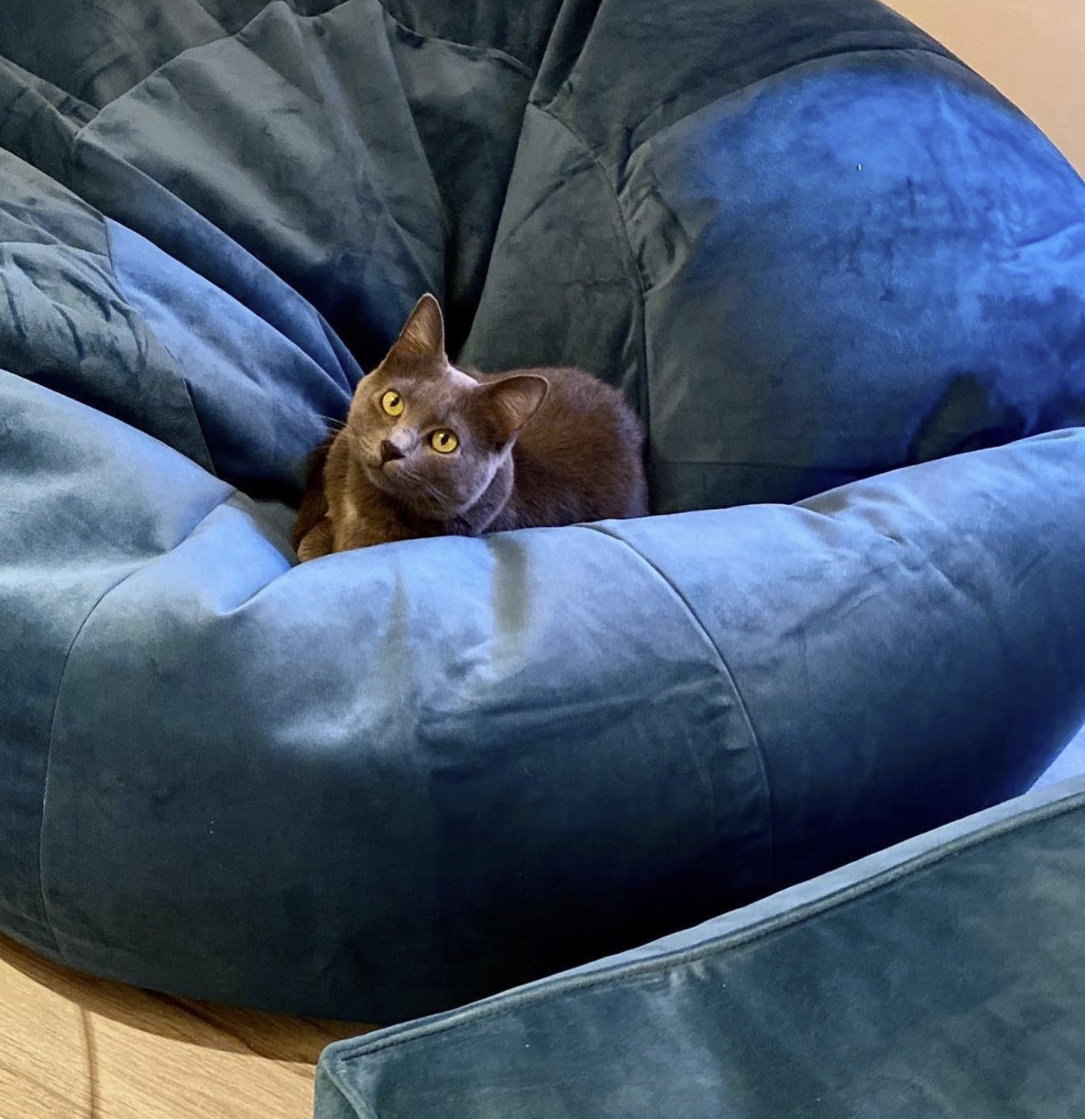 Smart Bean Bags