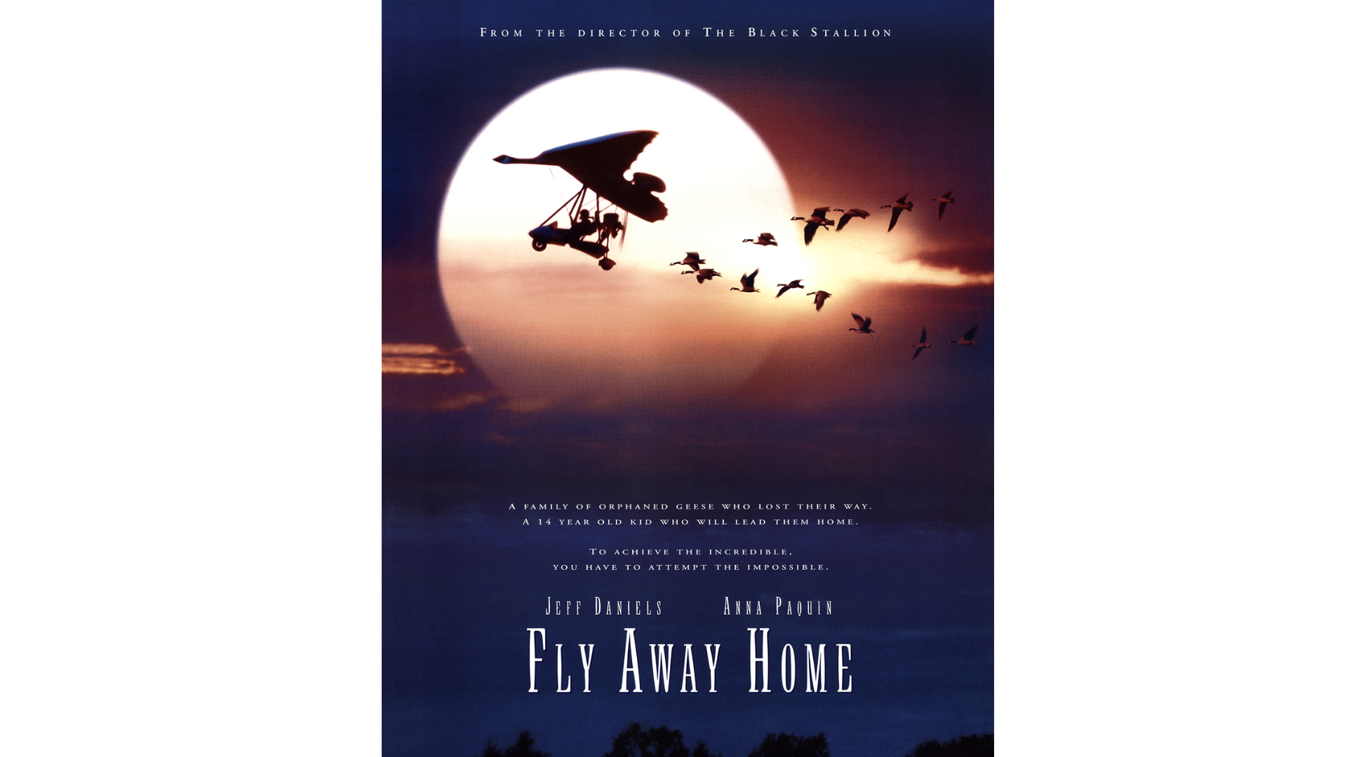 Fly_Away_Home_1996