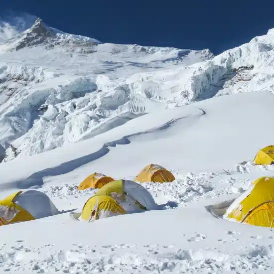 How Mules Are the Backbone of Manaslu Supply Chain