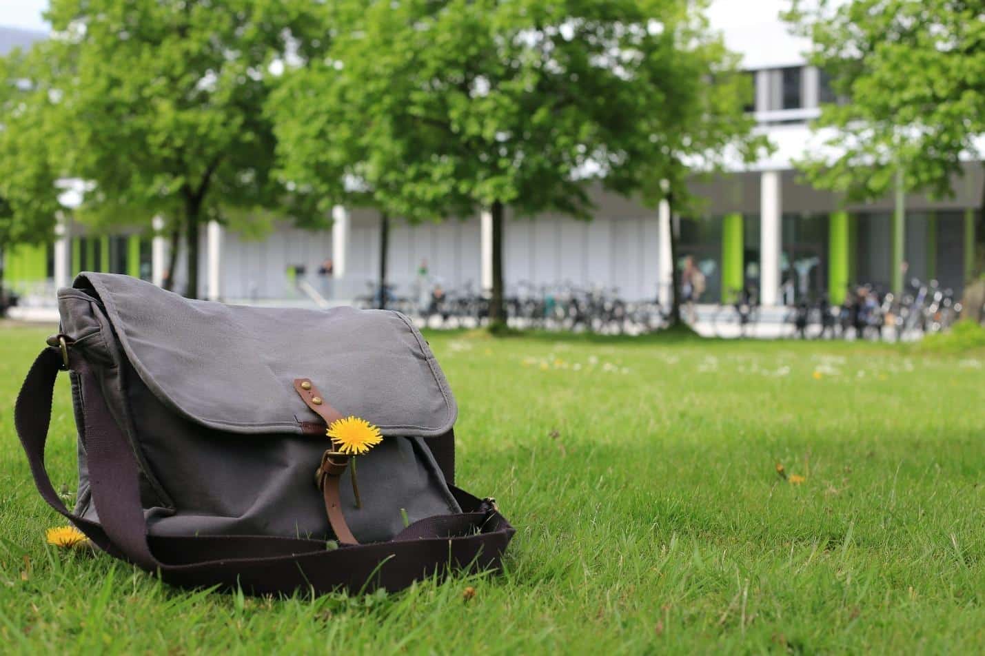 Things No One Tells You About Being a Parent of a First-Year College Kid