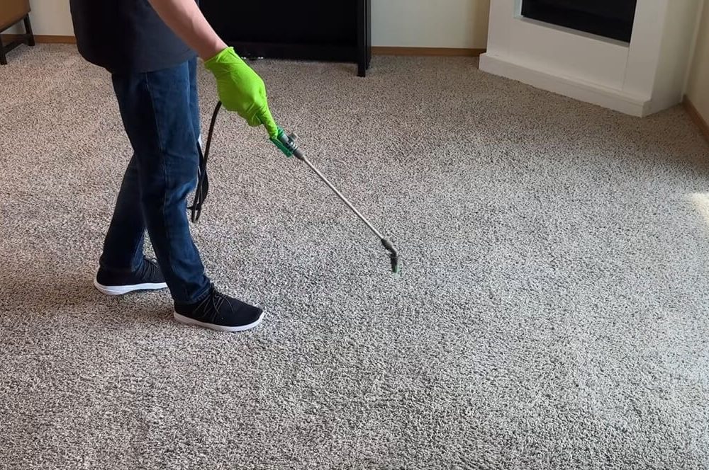 The Best Way To Clean Carpet