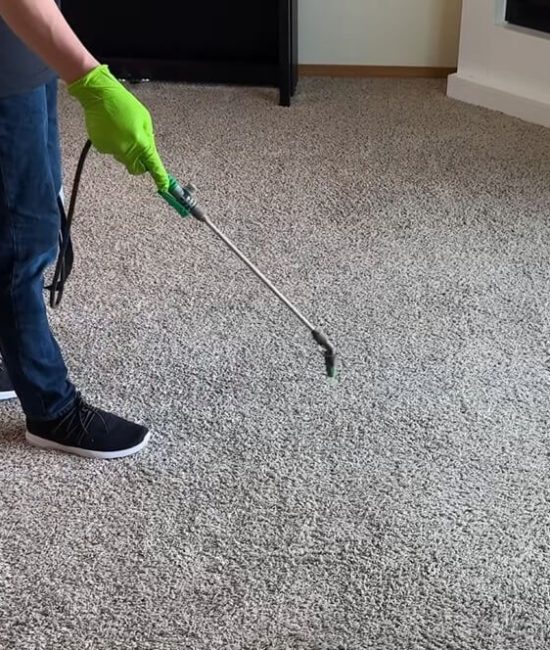 The Best Way To Clean Carpet