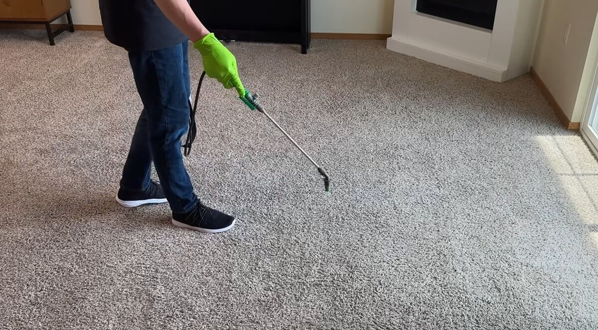 The Best Way To Clean Carpet