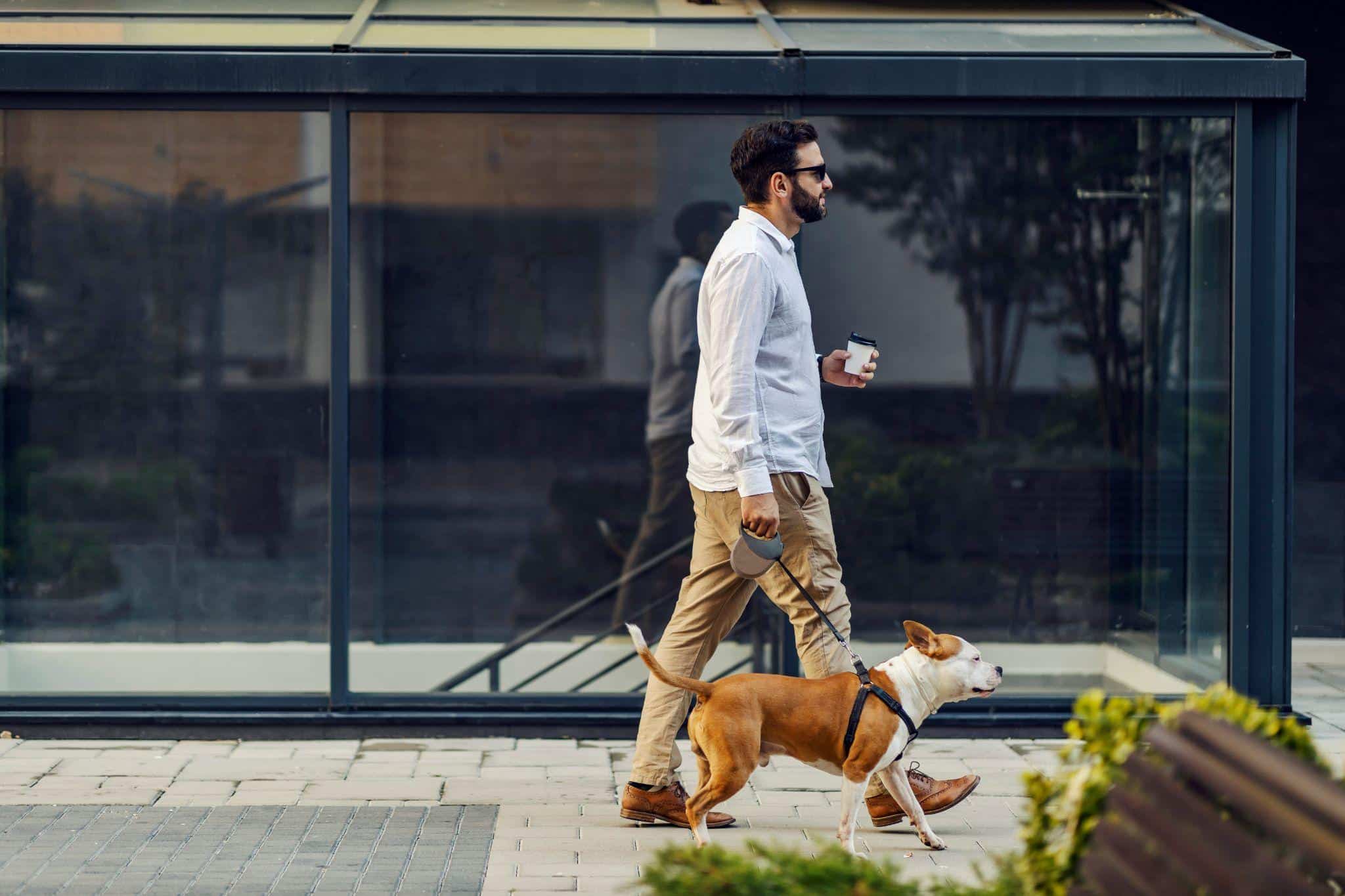 Instinct Dog Training NYC Review – All About This NYC Dog Trainer