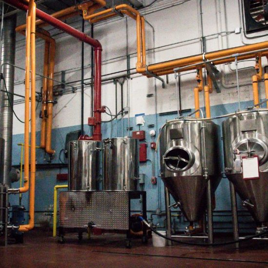 Pest Control in Bars and Breweries: Essential Strategies for Maintaining Cleanliness and Safety