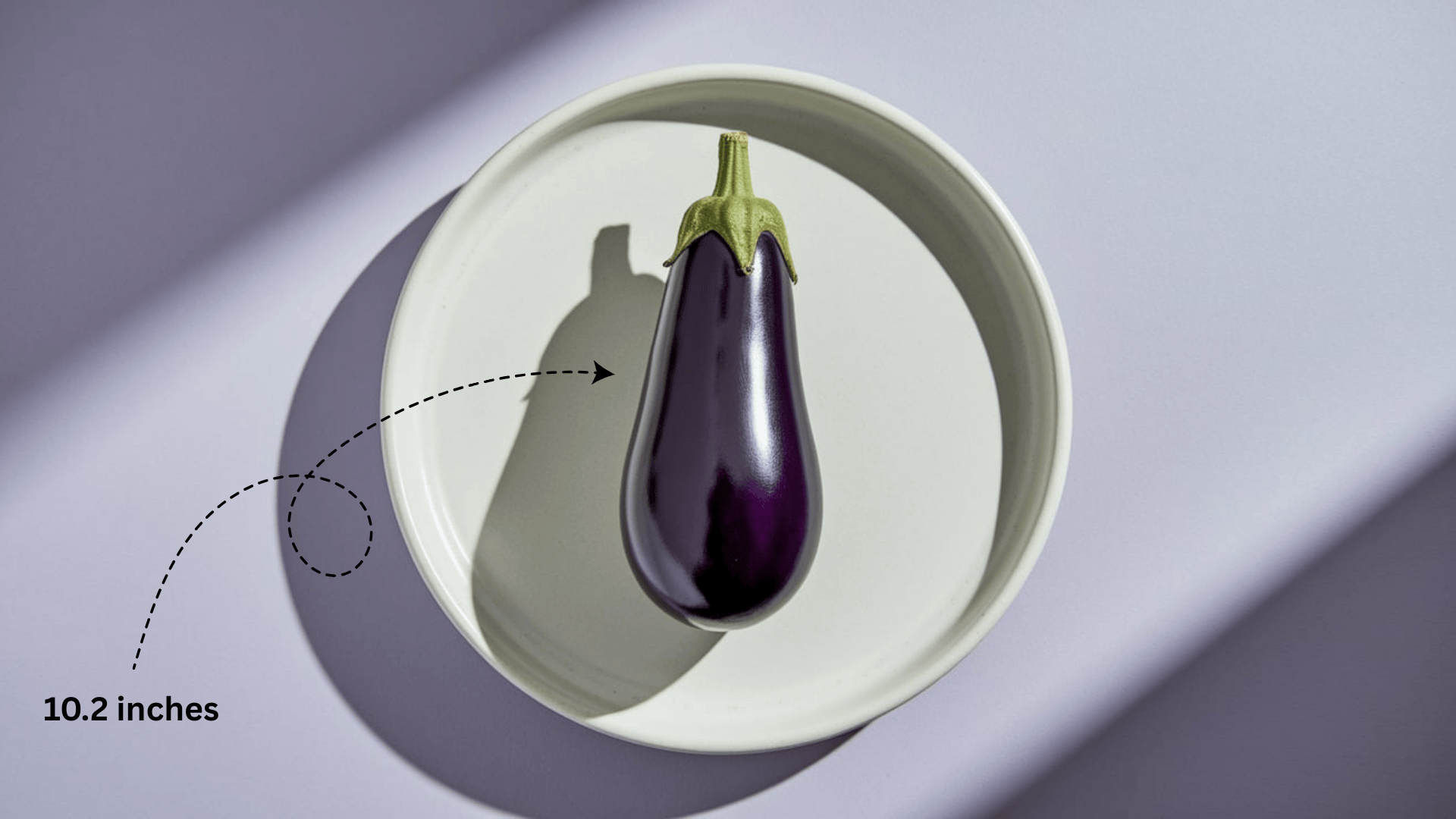 Baby_Size_at_Week_28_-_Eggplant