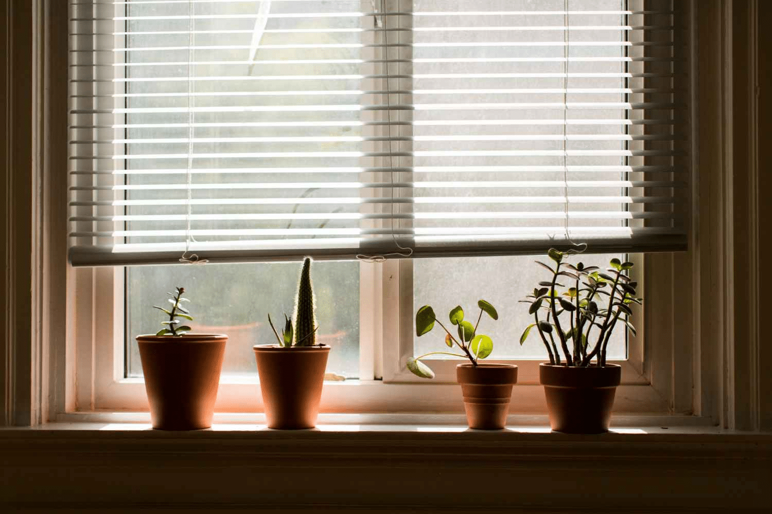 Ensuring Optimal Light Control and Privacy Solutions