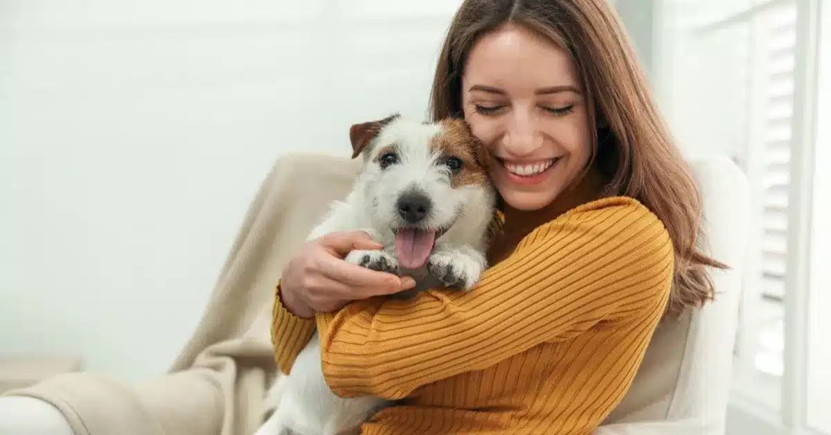 Simple Changes That Can Help Dogs Adjust