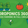 Hydroponics 360: Soilless Farming in Full Circle