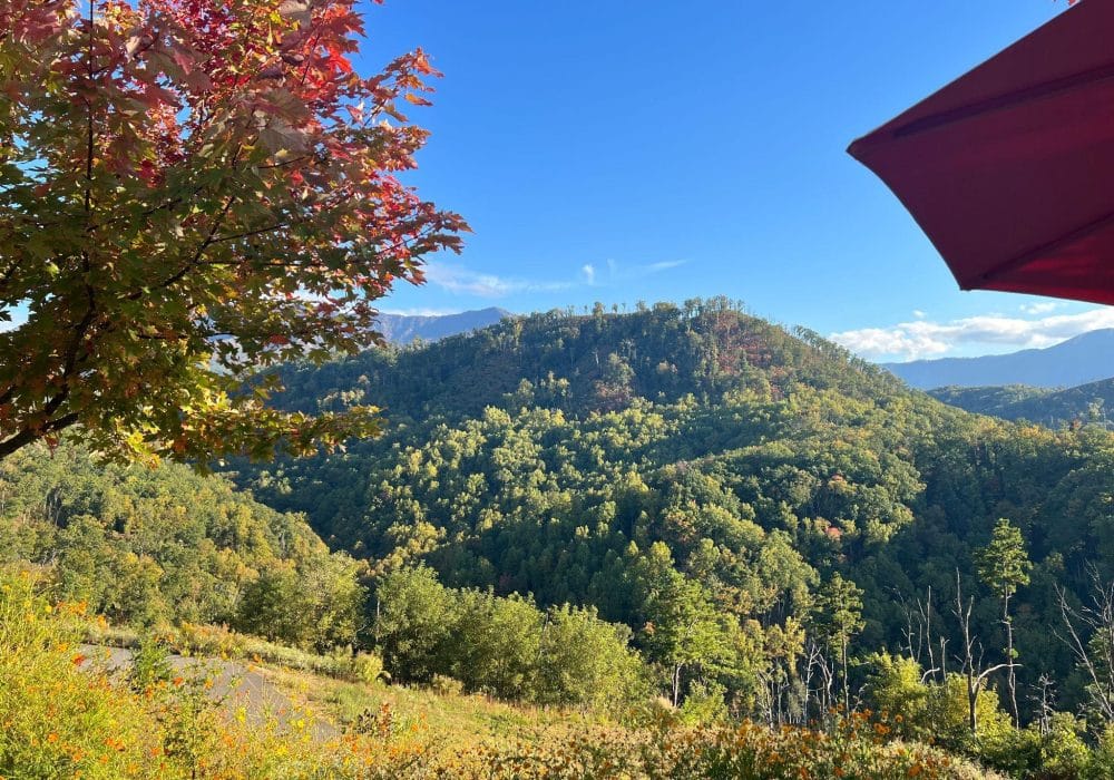 Explore Gatlinburg: Where Family Fun Never Stops