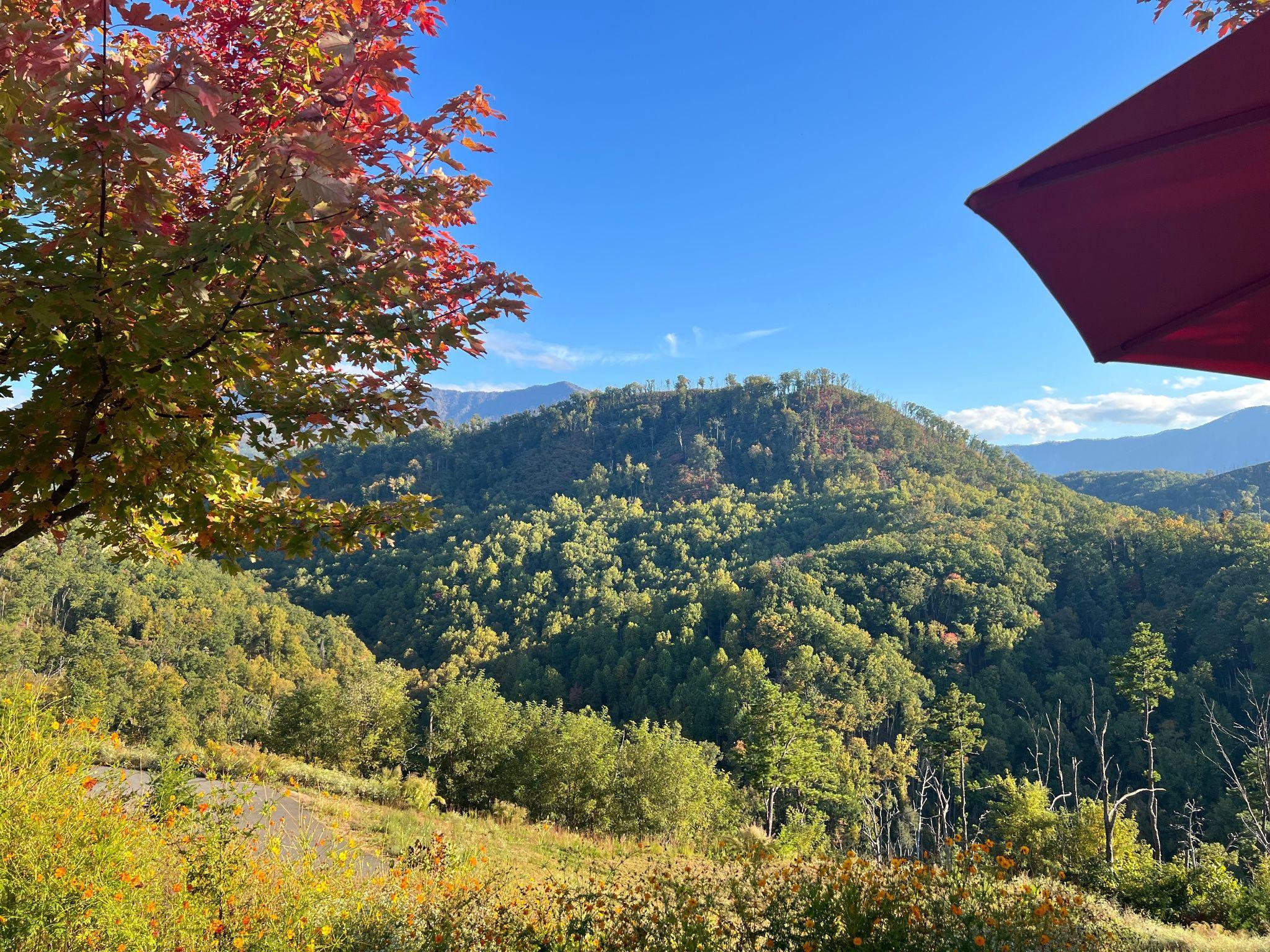Explore Gatlinburg: Where Family Fun Never Stops