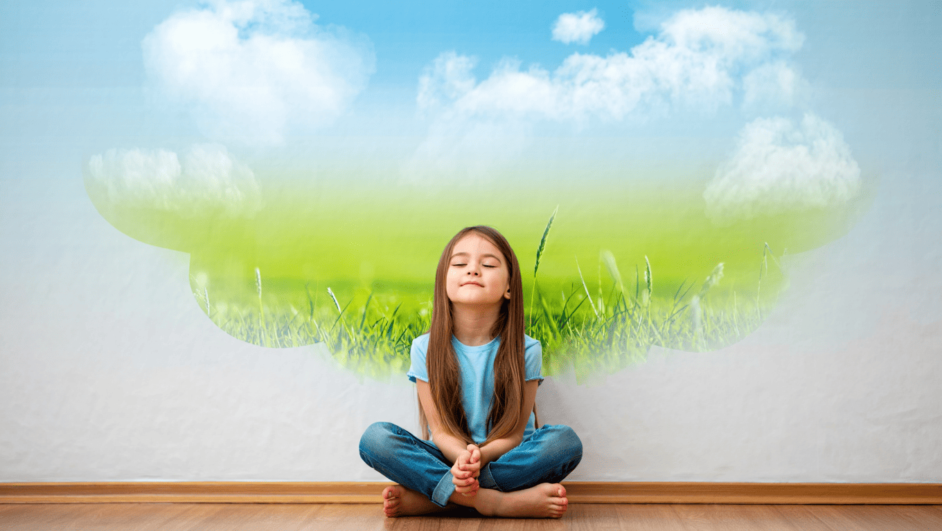 Guided Visualization