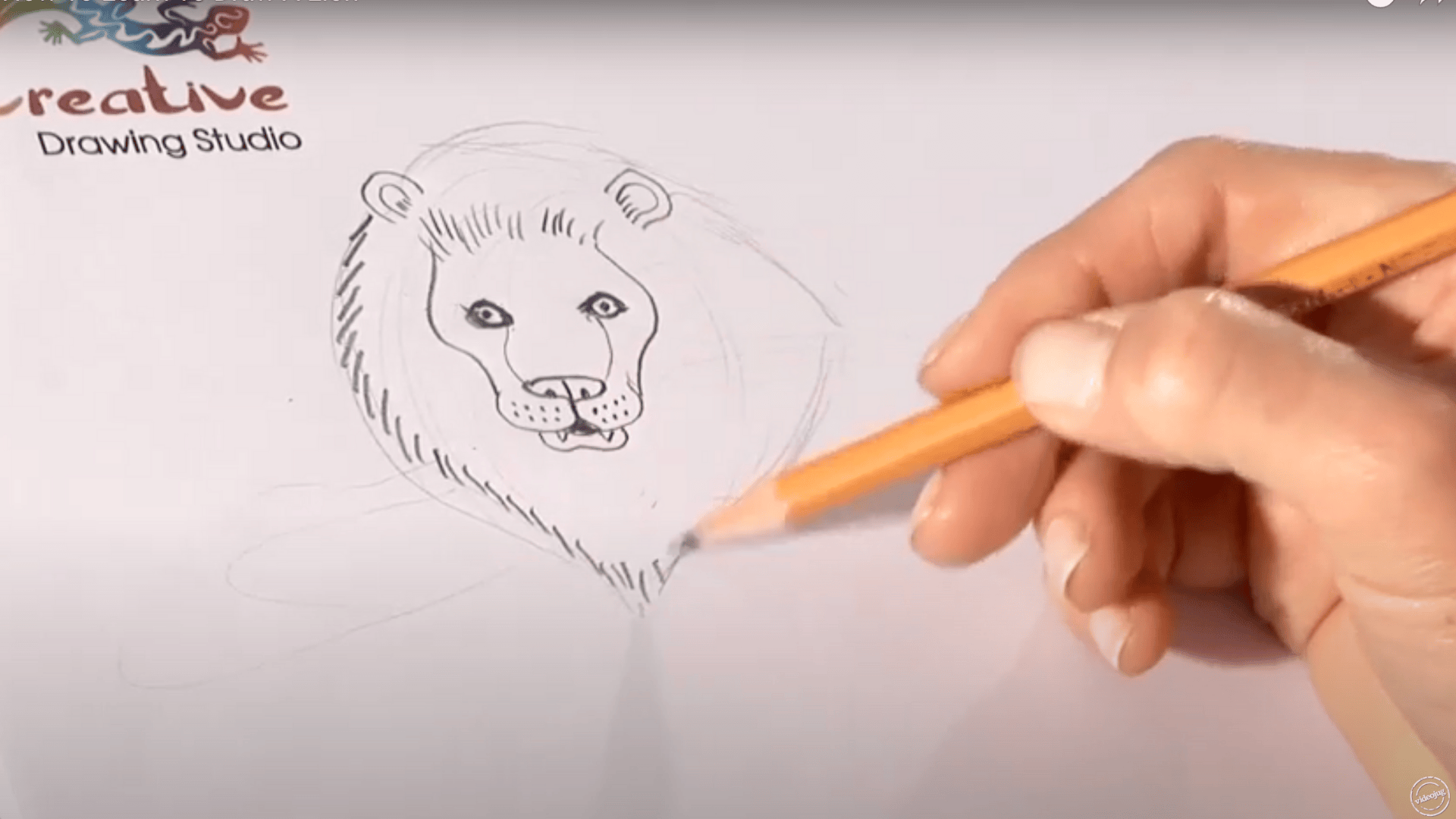 Step_3_Add_the_Mane