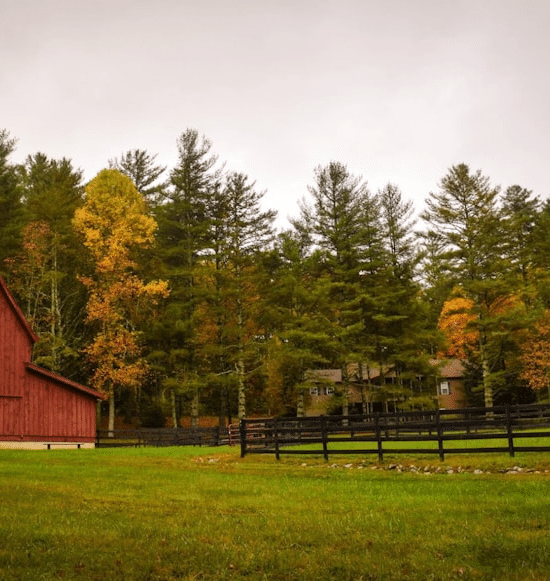 How to Run a Successful Farm