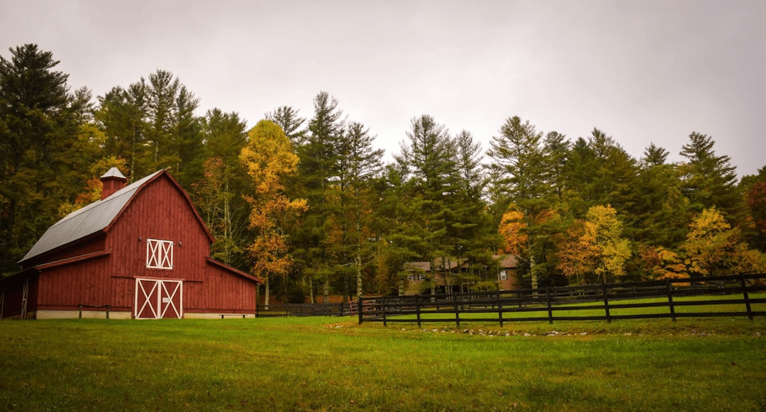 How to Run a Successful Farm