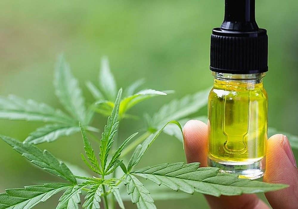 A Guide to Taking CBD Oil Dosage
