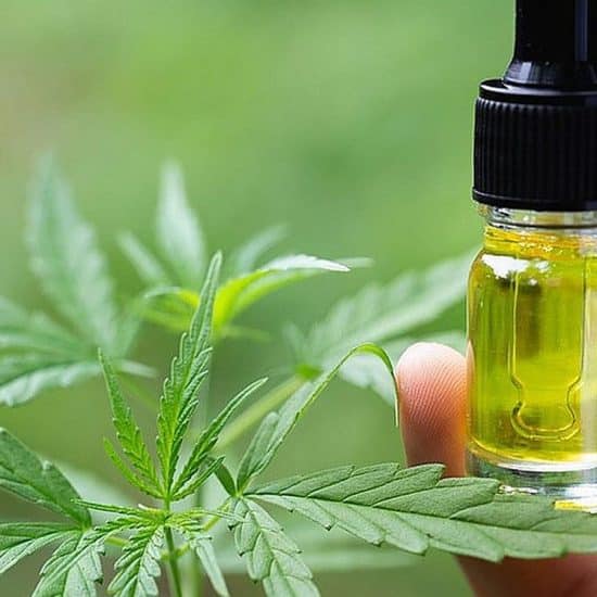 A Guide to Taking CBD Oil Dosage
