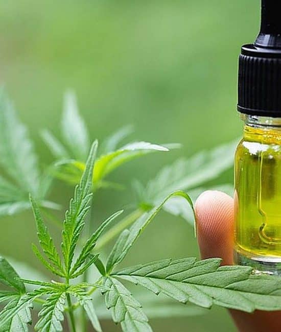 A Guide to Taking CBD Oil Dosage